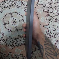 the last of us elli journal