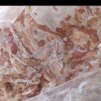 خورده مرغ کارتنی ارسال از تهران به قم فی335