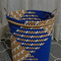 سبدلباس عمده پلاسکو