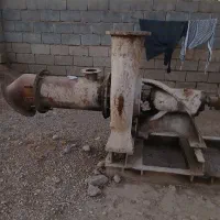 خنزی