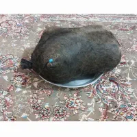 هیزه|صنایع دستی و سایر لوازم تزئینی|کوهدشت, |دیوار