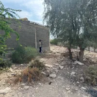 زمین-شهر-بیدخون