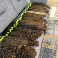 خرید مو  با  بالاترین قیمت بدون واسطه