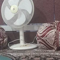 پنکه
