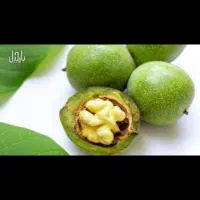 گردوهه|حراج|پاوه, |دیوار