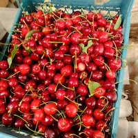 واگذاری مغازه میوه فروشی