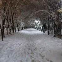 واحد-تجاری-یا-مسکونی