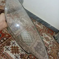 طلق چراغ ۲۰۶