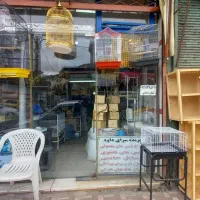 کبوتر و جفت کن