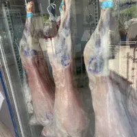 نیروی کار پروتئین