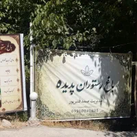 کار