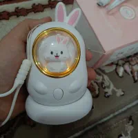 بخاری جیبی خرگوشی