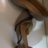 کفش مجلسی