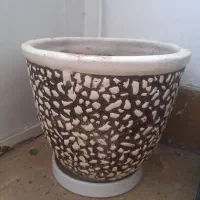 گلدان سایز بزرگ