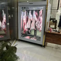 سوپر گوشت رضا بیدک رجایی ۱۱ گوشت با کالا برگ