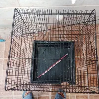 قفس کاسکویی