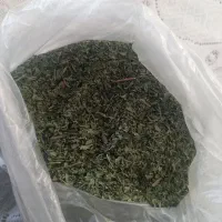 نعنا، ترخان(خشکه)