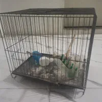 قفسه پرنده