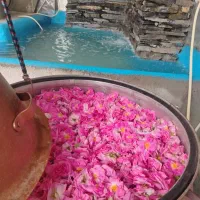 فروش گلاب کلی وجزئی