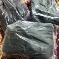 کفش ایمنی|کیف، کفش، کمربند|دهدشت, |دیوار