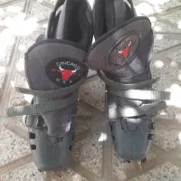کفش اسکیت