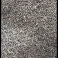 زیره کوهی خوش عطر