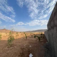 زمین-باغ
