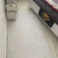 پادری