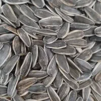 تخمه کانادایی S400