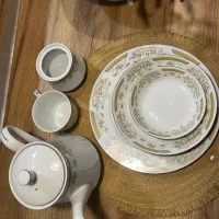 ظروف چینی
