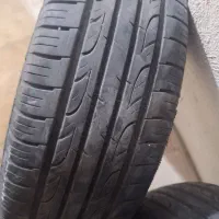 لاستیک ساینا