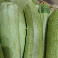 کدوسبزتروتازه