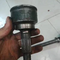 کله پولوس میل پولوس و رینگ پراید