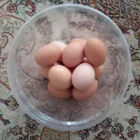 تخم مرغ محلی