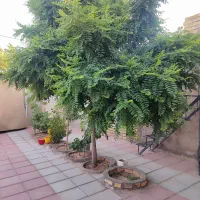 ویلایی دنج نزدیک تهران