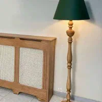 کنارسالنی آباژور ایستاده