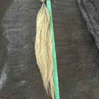 موی بلوند سر چسب اماده نصب