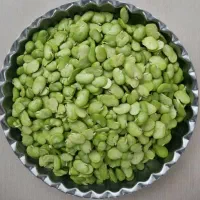 فروش محصولات خانگی