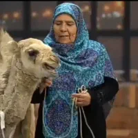 شیرشتر عمه عطری