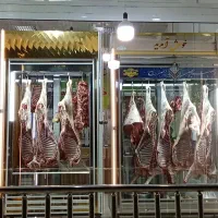 گوشت رامین . گوساله  نرینه وبره  نرینه .ر