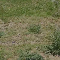 زمین مسکونی به متراژ ۱۶۶