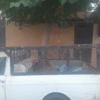 باربند وانت پیکان