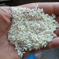 برنج ایرانی