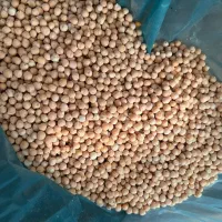 پخش عمده حبوبات (حداقل خرید5تن)