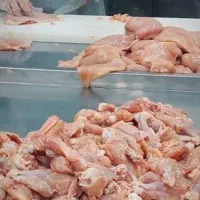 قطعه بندی مرغ