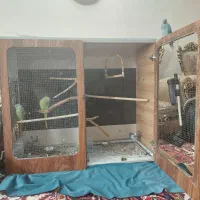 قفس پرنده سایز بزرگ