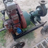 لیستر مارگو ۸ اسب