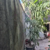 بنجامین آمستل