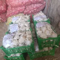 سیر همدان