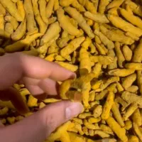 تامین عمده عطاری ادویه روغن دانه عرقیات گیاه داروی